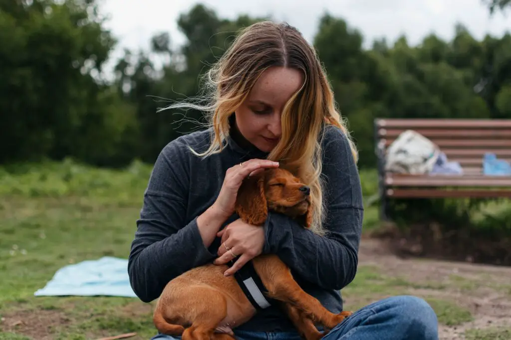 A young woman cuddling a red cocker spaniel puppy in a park in the UK on a cloudy day