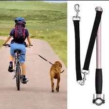bike leash