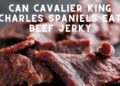 Can Cavalier King Charles Spaniels eat beef jerky