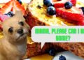 Can Dogs Eat French Toast?