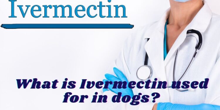 Ivermectin is primarily an anthelmintic medication used to treat parasitic infection both externally and internally. Anthelmintics are antiparasitic medications used for expelling worms from the body. Anthelmintics either kill the worms or stun them, after which they are expelled from the body but without affecting the host.