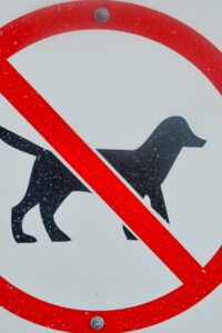 I Hate my Dog : Now What?