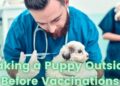 Can I take my Puppy outside Before Vaccination?