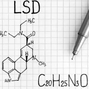 What would happen to a dog on LSD?