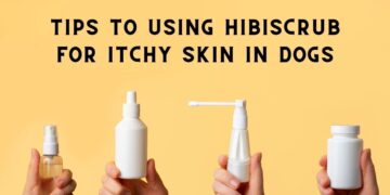 How to Use Hibiscrub to Relieve Your Dog's Itchy Skin?