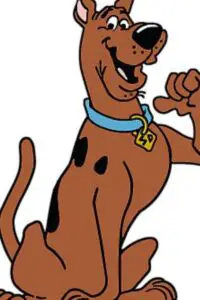 What kind of Dog is Scooby Doo?
