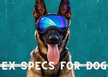 What are REX Specs for Dogs?