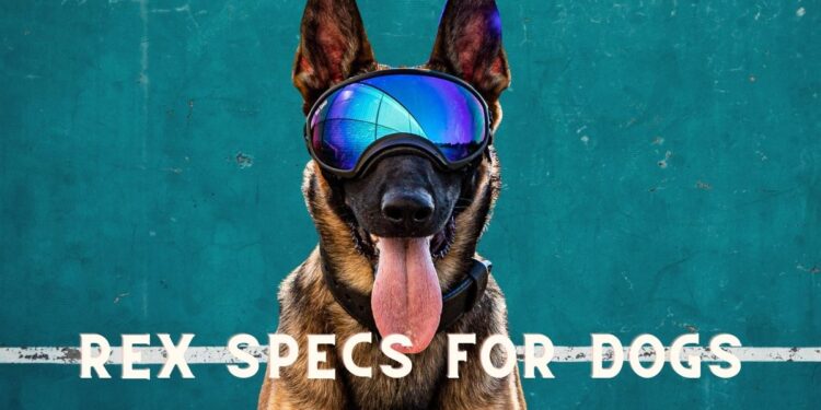What are REX Specs for Dogs?