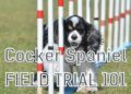 What is a Cocker Spaniel Field Trial?