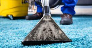 Get Dog Poop Out of Carpet in 5 Easy Steps