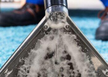 Get Dog Poop Out of Carpet in 5 Easy Steps