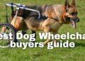 Best Dog Wheelchair Buyers Guide [Top 5 Picks]