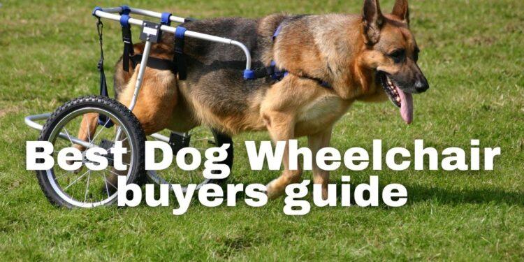 Best Dog Wheelchair Buyers Guide [Top 5 Picks]