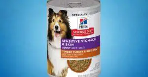 Top 5 Best Wet Dog Foods Review and Buying Guide