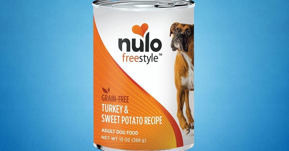 Top 5 Best Wet Dog Foods Review and Buying Guide