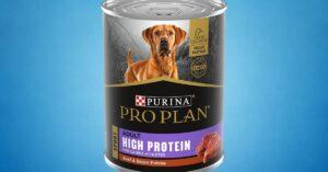 Top 5 Best Wet Dog Foods Review and Buying Guide