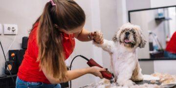 Top 6 Best Dog Clippers for Professional and Home Use