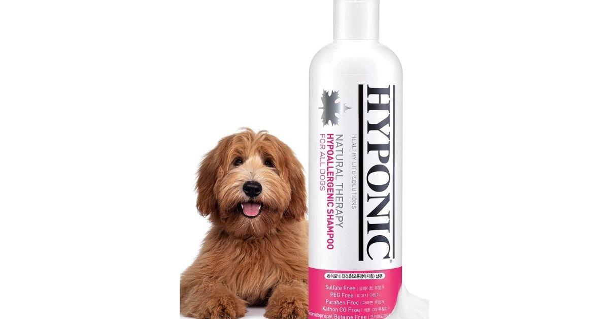 Top 7 Best and Safest Dog Shampoos 2022