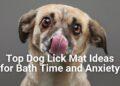 Top Dog Lick Mat Ideas for Bath Time and Anxiety
