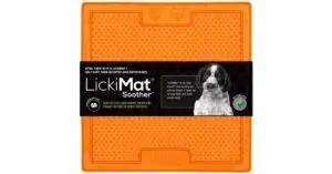 Top Dog Lick Mat Ideas for Bath Time and Anxiety