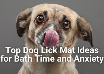 Top Dog Lick Mat Ideas for Bath Time and Anxiety
