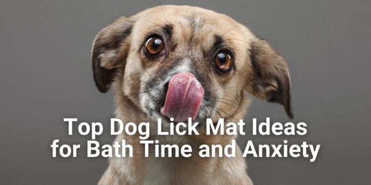 Top Dog Lick Mat Ideas for Bath Time and Anxiety