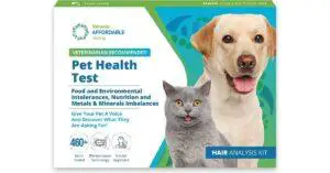 Best Dog Allergy Test Kits for Spaniels [2022]- Features, Price, Buyers Guide