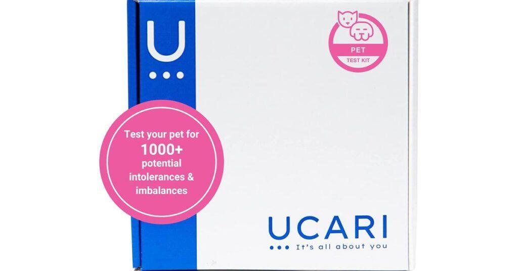 Best Dog Allergy Test Kits for Spaniels [2022] Features, Price, Buyers