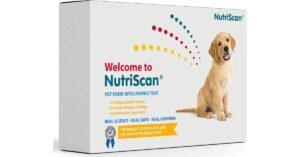 Best Dog Allergy Test Kits for Spaniels [2022]- Features, Price, Buyers Guide