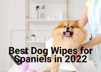 Best Dog Wipes for Spaniels [2022]- Features, Price, Buyers Guide