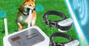 Best Wireless Dog Fences 2022 - Buy Smart |Top Categories Reviewed