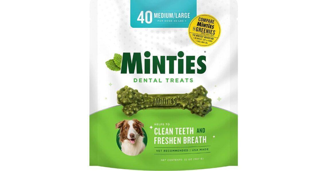 Best Dog Breath Fresheners