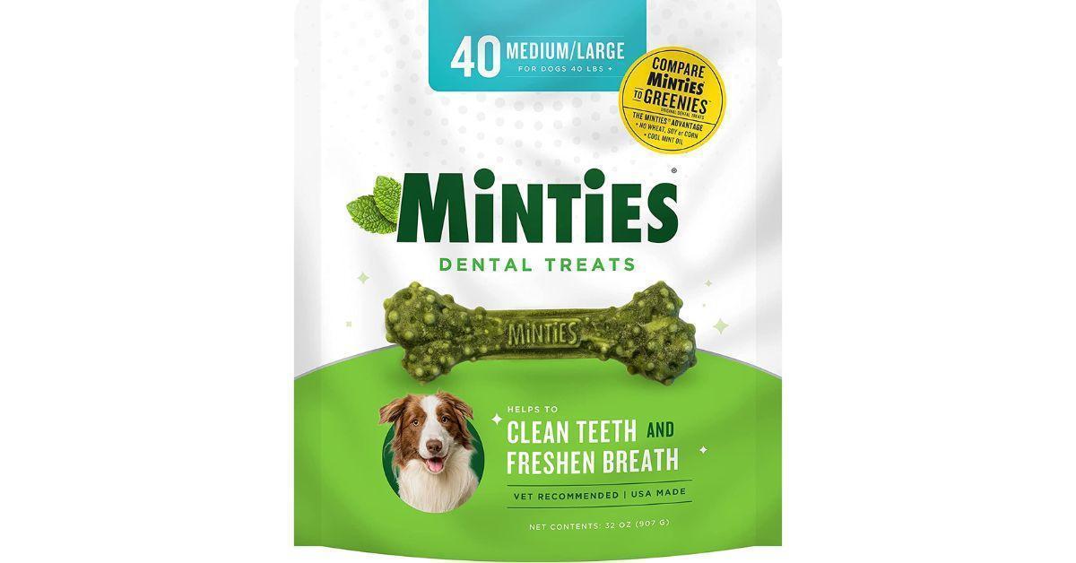 Best Dog Breath Fresheners