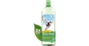 Best Dog Breath Fresheners