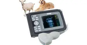 Best Portable Dog Ultrasound Machine for Breeders
