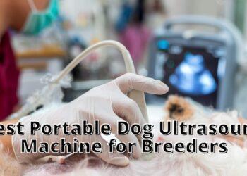 Best Portable Dog Ultrasound Machine for Breeders