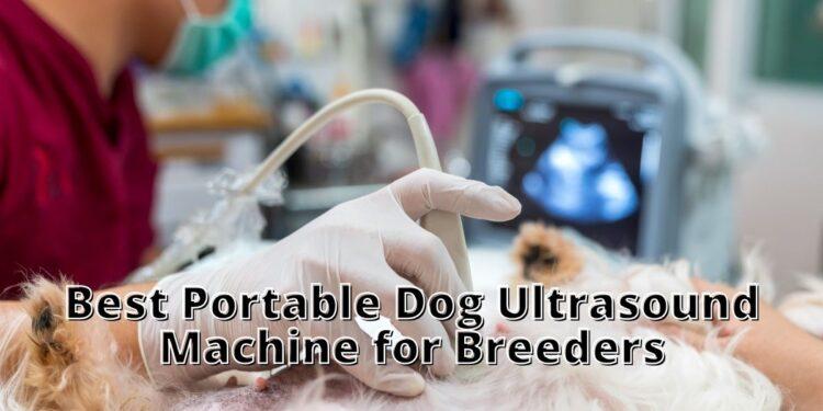Best Portable Dog Ultrasound Machine for Breeders