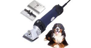 Clippers for Dogs with Sensitive Skin + HypoAllergenic Breeds