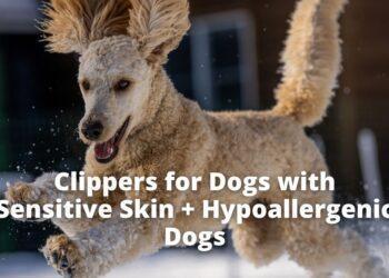 Clippers for Dogs with Sensitive Skin + HypoAllergenic Breeds