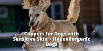 Clippers for Dogs with Sensitive Skin + HypoAllergenic Breeds