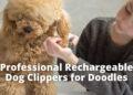 Professional Rechargable Dog Clippers for Doodles