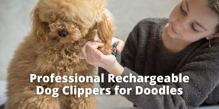 Professional Rechargable Dog Clippers for Doodles