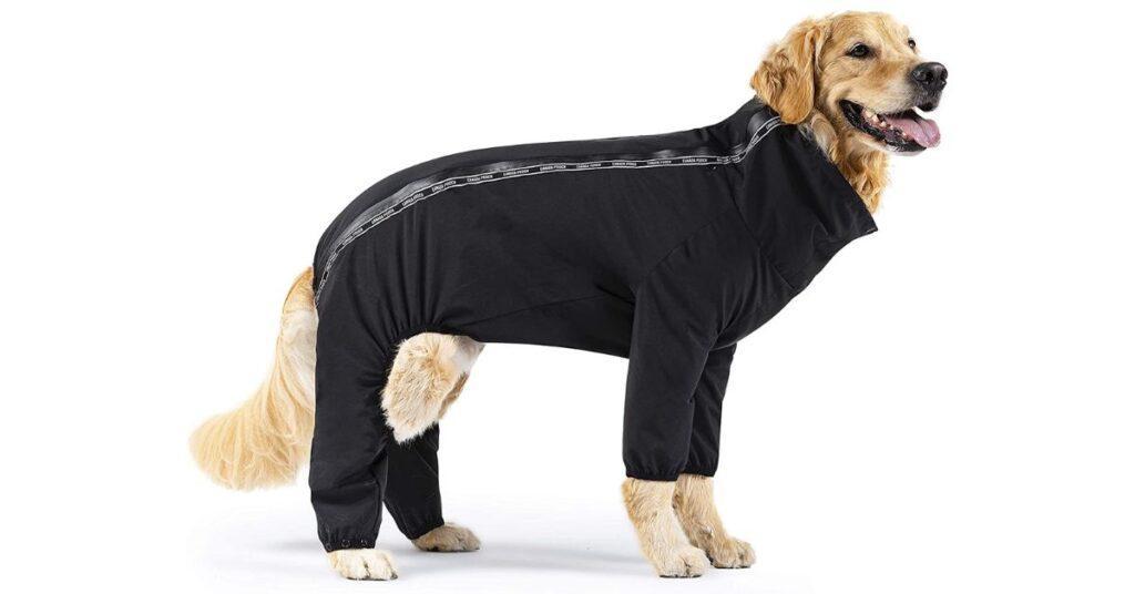 5 best waterproof dog coats with legs with buyers guide