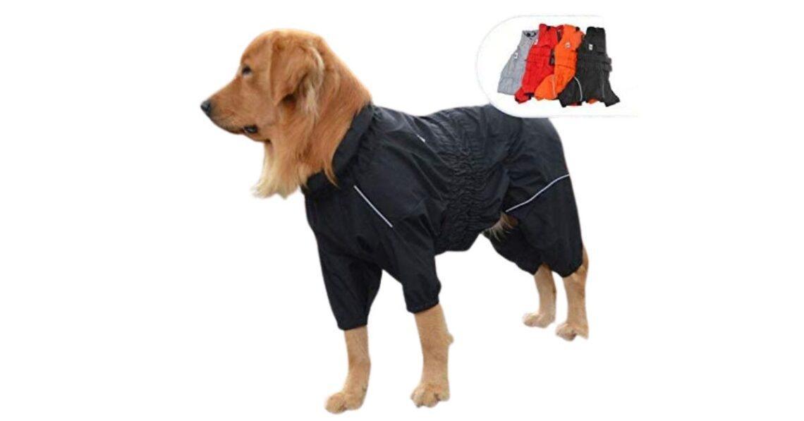 5 Best Waterproof Dog Coats with Legs with Buyers Guide