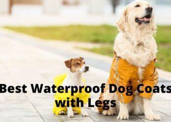 5 Best Waterproof Dog Coats with Legs with Buyers Guide