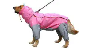 5 Best Waterproof Dog Coats with Legs with Buyers Guide