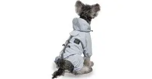 5 Best Waterproof Dog Coats with Legs with Buyers Guide