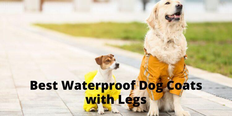 5 Best Waterproof Dog Coats with Legs with Buyers Guide