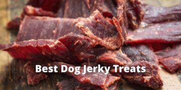 Best Dog Jerky Treats