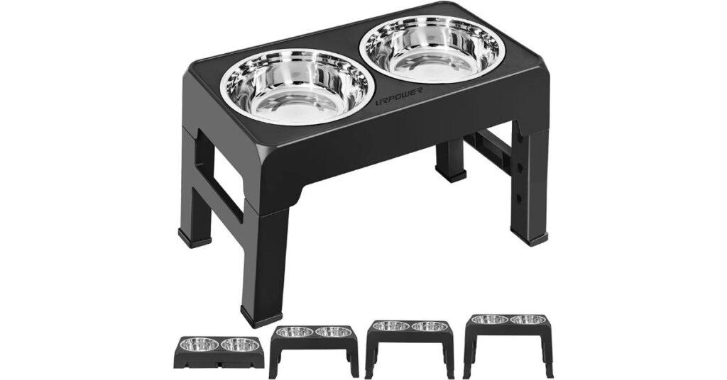 Best Elevated Dog Bowls